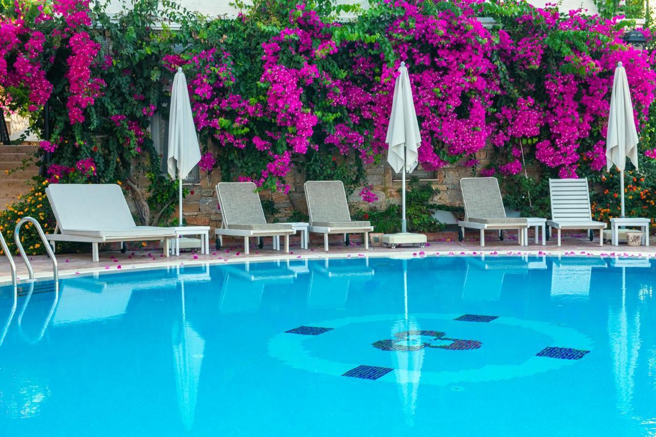 Swan Lake Hotel - Adult Only Селимие Екстериор снимка